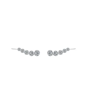 Elegant S925 Sterling Silver Zircon Earrings with Unique Japanese and Korean Design