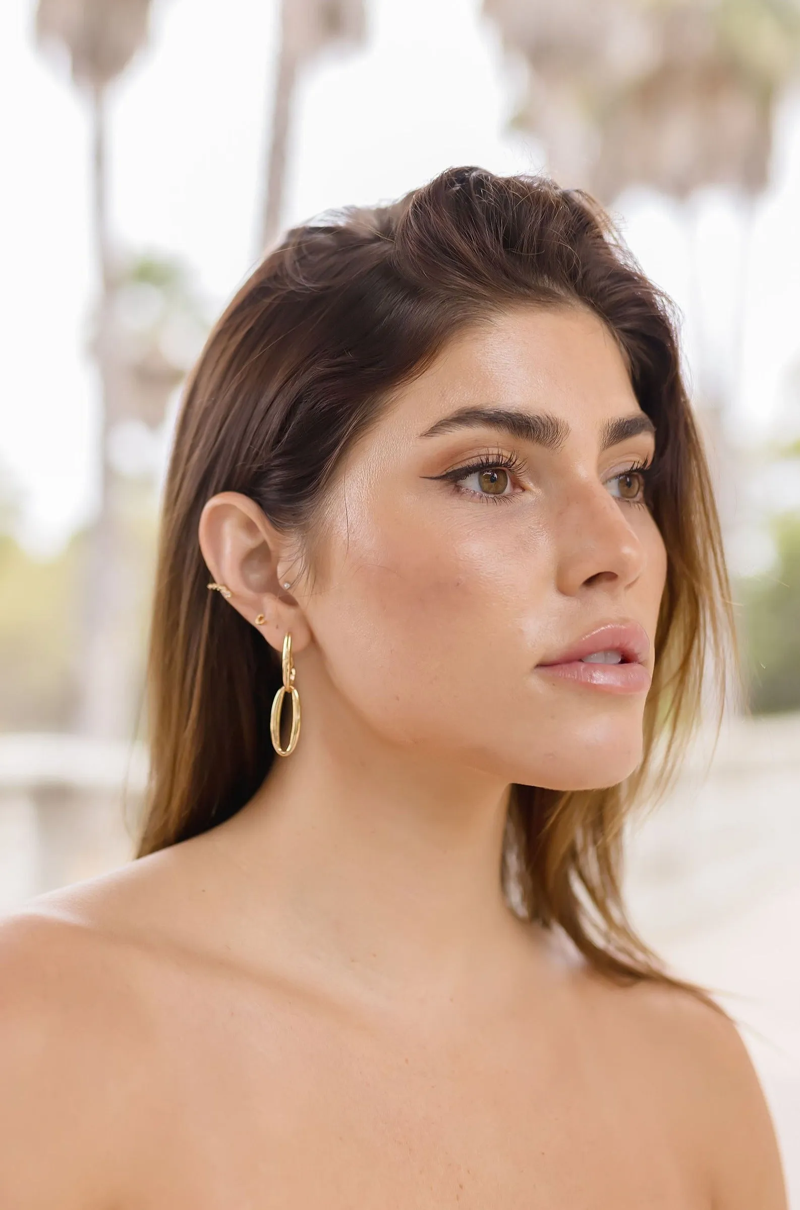 Janney Double Hoop Drop Earrings Gold