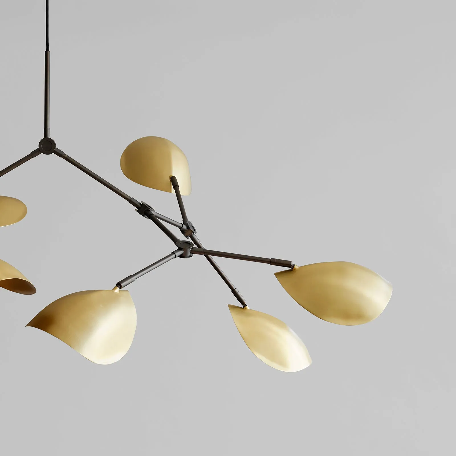 Stingray Brass | Chandelier