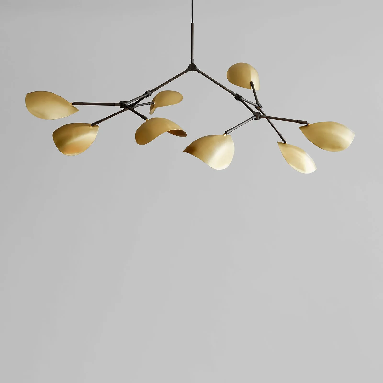 Stingray Brass | Chandelier